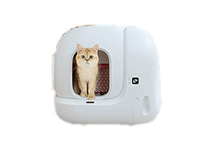 1 Cat Litter Box