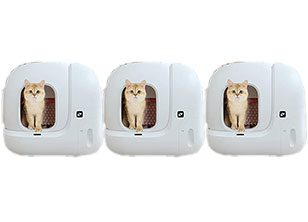3 Cat Litter Box